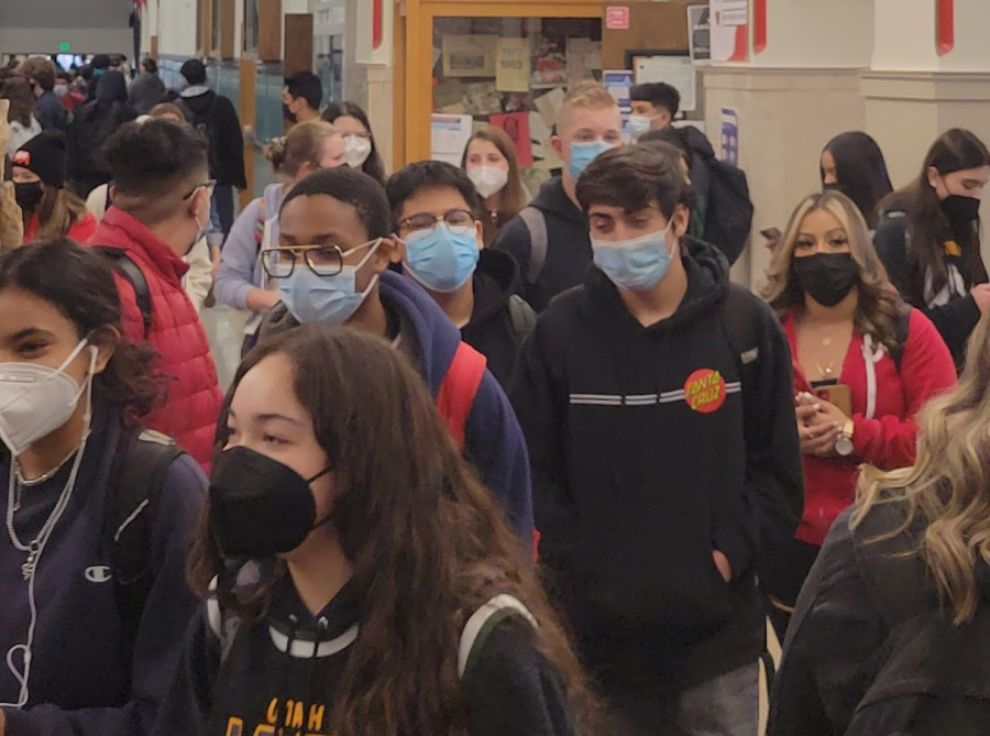 Have+Masks+Been+Effective+in+Reducing+COVID+Cases+in+Utah+Schools%3F